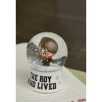 Harry potter snowglobe