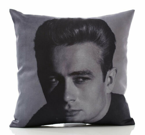   James Dean cushion case