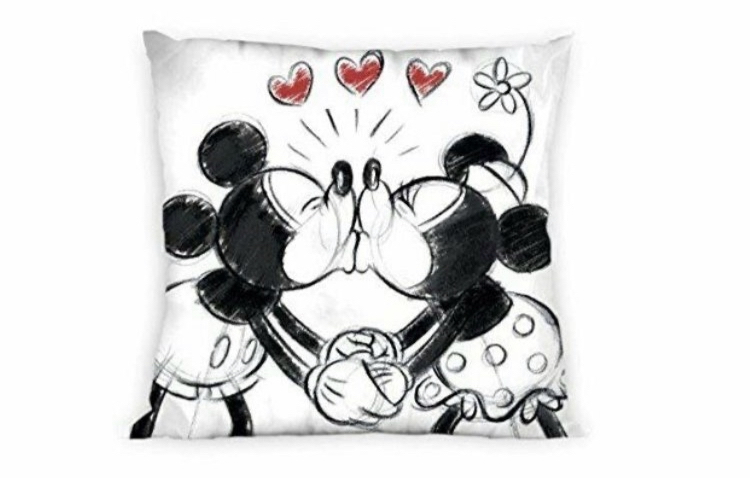 Mickey & minnie cushion case