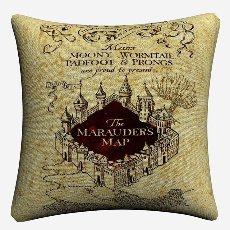 Harry Potter cushion case