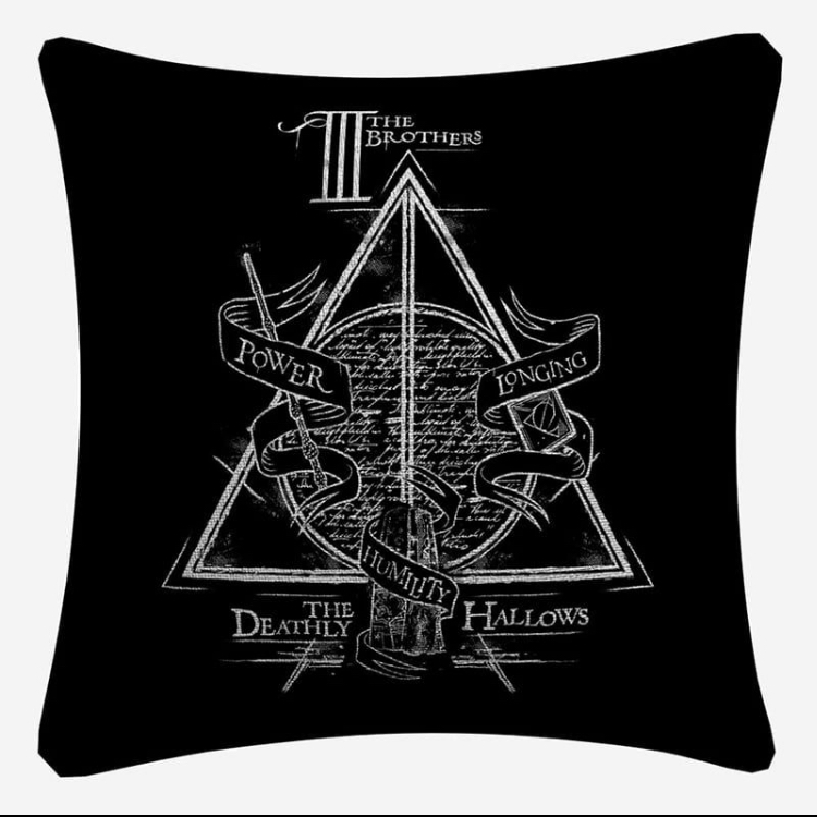 Harry Potter cushion case