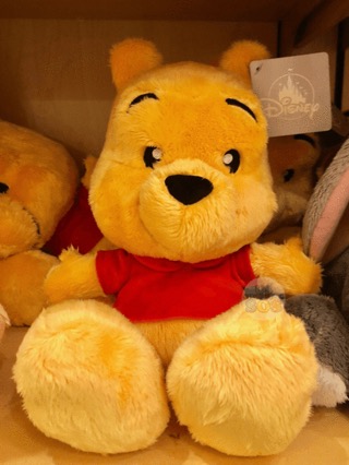 Winnie the Pooh plush cushion big feet