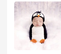 Animal Penguin new born clothes set