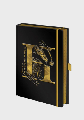 Harry potter notebook