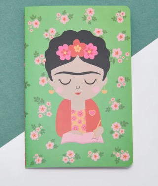 Frida notebook