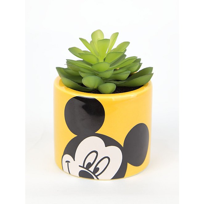 Mickey Mouse  Plant