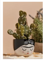 Frida bowl plant