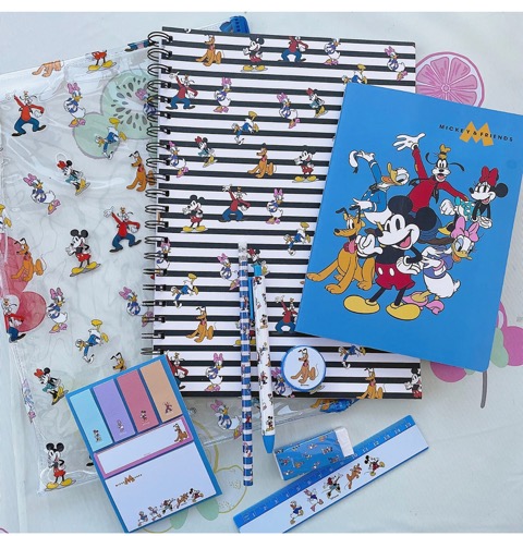 Mickey Mouse notebook set & pen