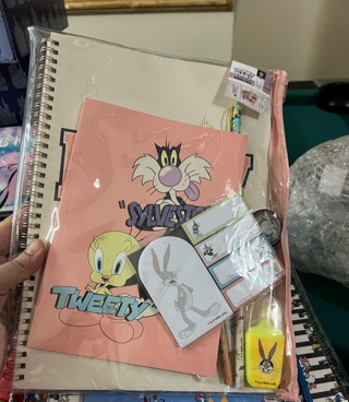 Looney Tunes Tweety notebook set