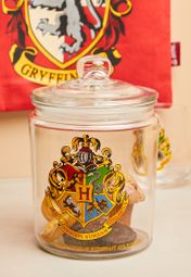 Harry Potter cookie jar